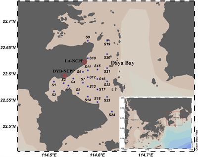 Research on the seasonal variation of zooplankton community in Daya Bay, South China Sea